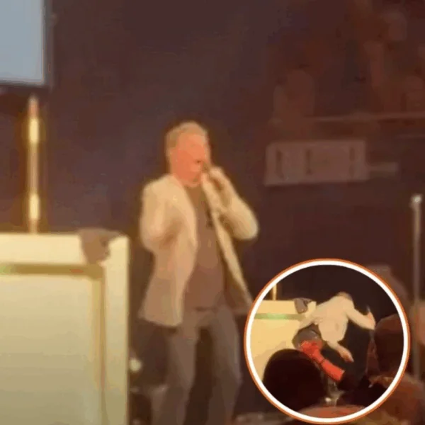 Wolter Kroes zorgt voor opschudding tijdens optreden: onverwachte val, maar staat direct weer op