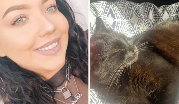 Water over de kat, water over het kind: burenruzie ontketent felle discussie over dierenwelzijn en opvoeding