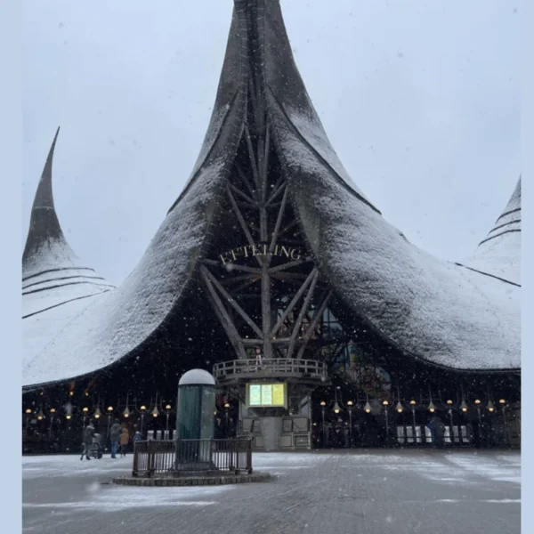 Efteling maakt entreeprijzen voor 2026 bekend: wat verandert er en waarom?