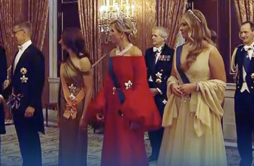 Discussie rond uitstraling van koningin M&aacute;xima: stijlkeuze leidt tot uiteenlopende reacties