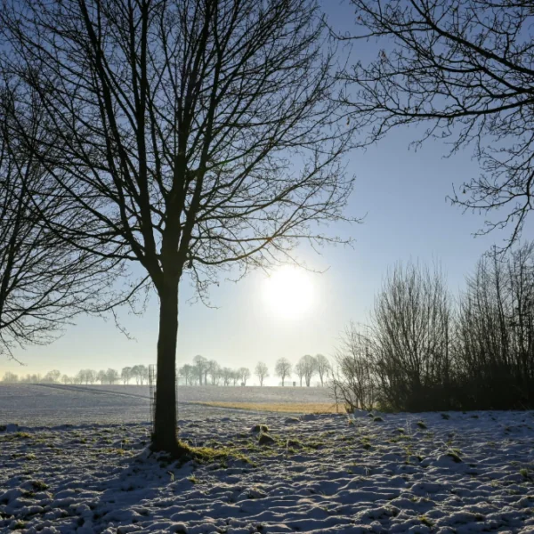 AlgemeenWeerman voorspelt: Op deze dag gaat het keihard sneeuwen