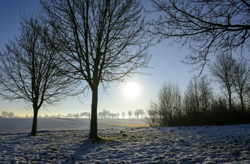AlgemeenWeerman voorspelt: Op deze dag gaat het keihard sneeuwen