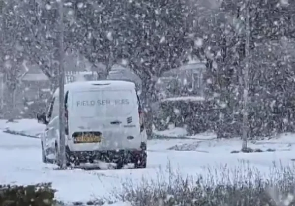 Weerexpert waarschuwt voor aanhoudende sneeuwstoring: winterweer houdt Nederland stevig in zijn greep