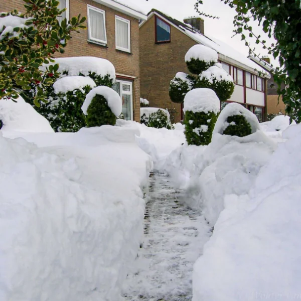 Weeronline waarschuwt voor aanhoudende winterse buien in meerdere provincies